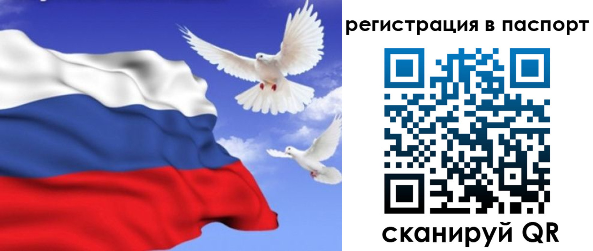 купить прописку в Шумихе