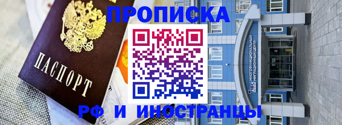 прописка законно в Шумихе